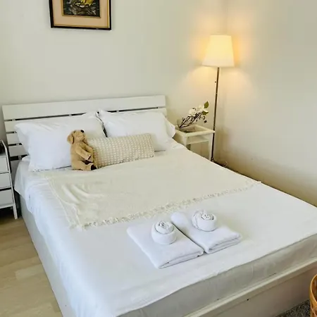 Xin Guesthouse